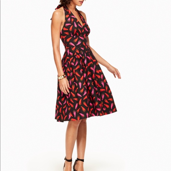 ISO! ISO! ISO! - Picture 1 of 2